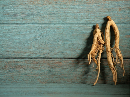 Two dried Panax Ginseng roots against weathered timber, representing the Korean origin of the herb in Stamina for Men
