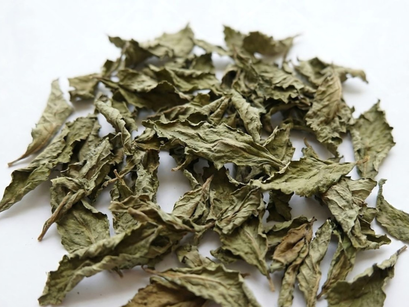 Dried Damiana leaves on a white background, representing the traditional Mexican herb in Stamina for Men