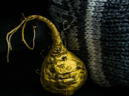 Single maca root with leaves attached, displayed against an Andean wool textile, representing the Peruvian highland origin of the herb in Stamina for Men