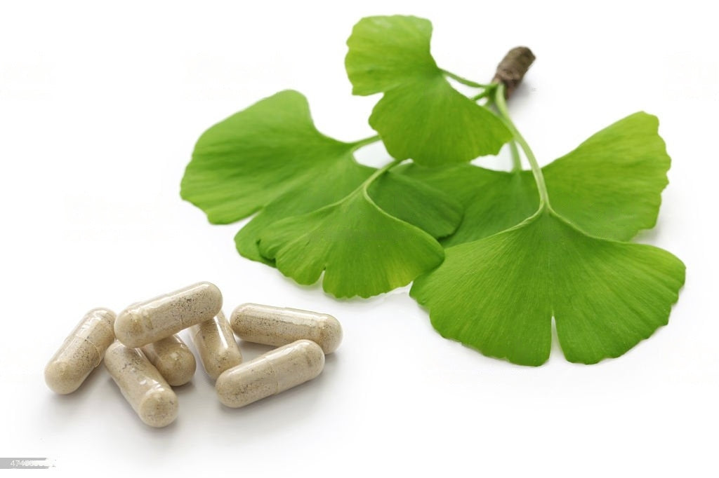 Gingko Biloba leaf, a key natural ingredient in the Stamina for Men supplement