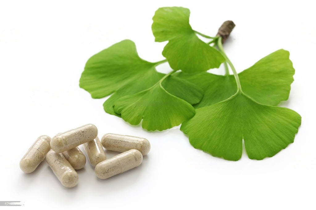 Ginkgo Biloba leaves from China, a traditional herbal ingredient in Stamina for Men
